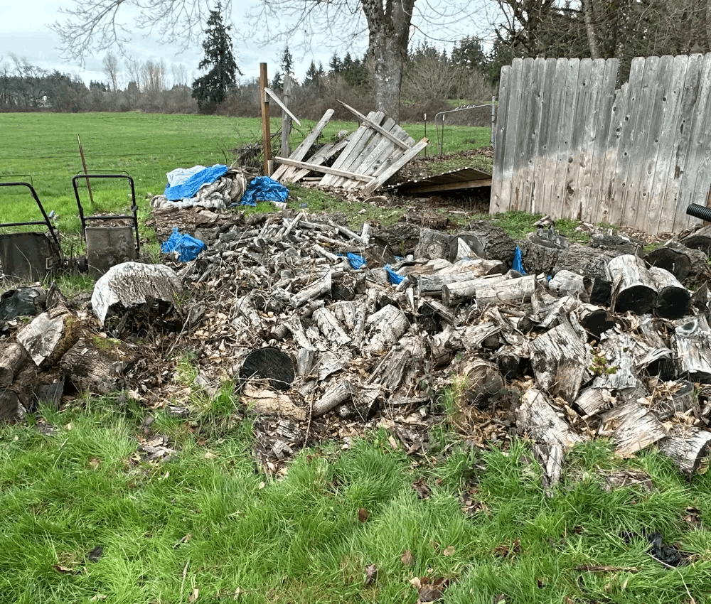 Overgrown yard debris and hazards